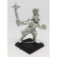 Reiksguard Knight on Foot 1