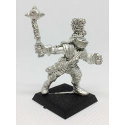 Reiksguard Knight on Foot 1