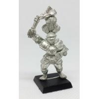 Reiksguard Knight on Foot 2