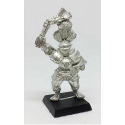Reiksguard Knight on Foot 2