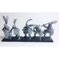 Swordsmen x5