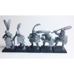 Swordsmen x5