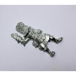 Vostroyan Casualty 1