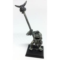 Savage Orc Standard Bearer 1