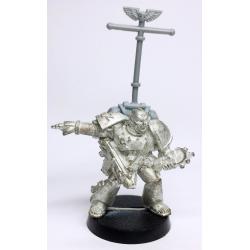 Devastator Veteran Sergeant - Auspex and Boltgun