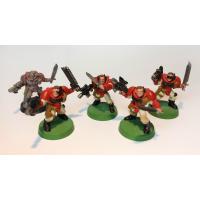 Space Marine Scout Squad