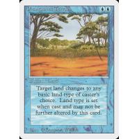 Phantasmal Terrain 