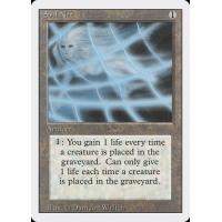 Soul Net 