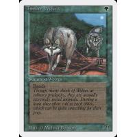 Timber Wolves 