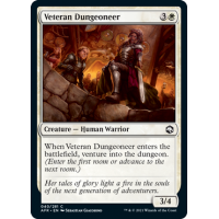 Veteran Dungeoneer