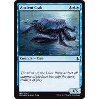 Ancient Crab