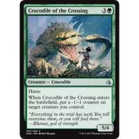 Crocodile of the Crossing