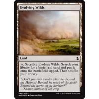 Evolving Wilds