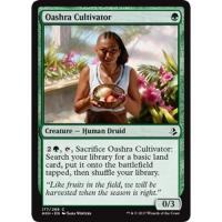 Oashra Cultivator