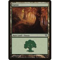 Forest #243