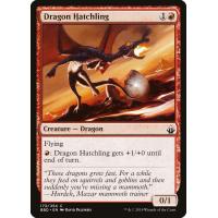 Dragon Hatchling 