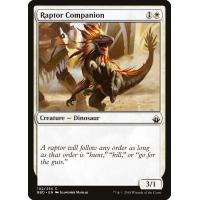 Raptor Companion 