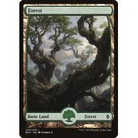 Forest #274 - Full Art *Premium Foil*