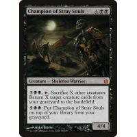 Champion of Stray Souls 