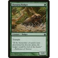 Charging Badger 