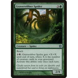 Graverobber Spider 