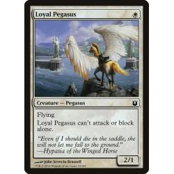 Loyal Pegasus