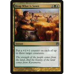 Reap What Is Sown 