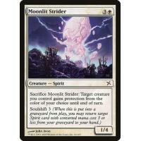 Moonlit Strider 