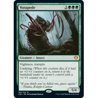 Vorapede 