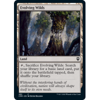 Evolving Wilds