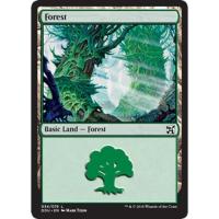 Forest #34