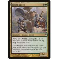 Putrid Leech