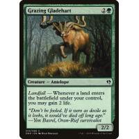 Grazing Gladehart