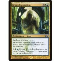 Krasis Incubation
