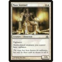 Maze Sentinel