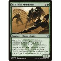 Salt Road Ambushers