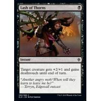 Lash of Thorns 
