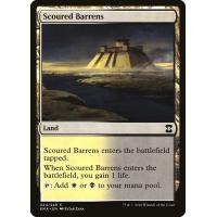 Scoured Barrens *Premium Foil*