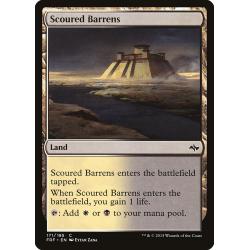 Scoured Barrens *EX*