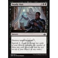 Deadly Visit