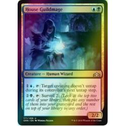 House Guildmage *Premium Foil*