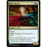 River Hoopoe
