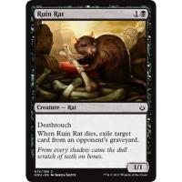 Ruin Rat