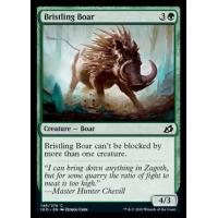 Bristling Boar