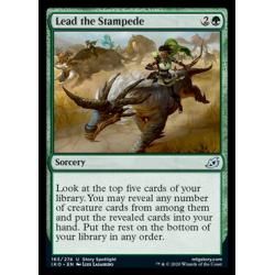Lead the Stampede