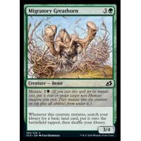 Migratory Greathorn