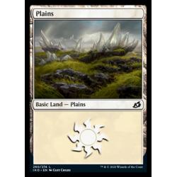 Plains #260