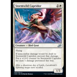 Stormwild Capridor