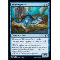 Thieving Otter