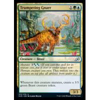 Trumpeting Gnarr